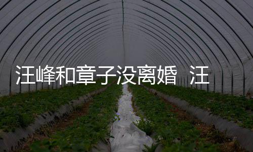 戴婚调出汪峰汪峰子没注目离婚和章引人戒高街