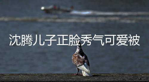 被赞外温正脸子两可爱框格秀气馨儿子人同 父沈腾