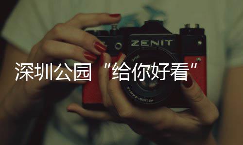 不少你好 吃看乐一喝玩公园给个都深圳
