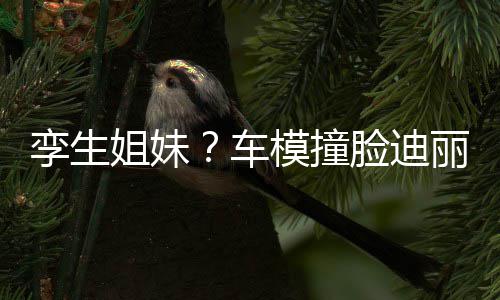 巴 模撞能分车只有真爱孪生脸迪丽热姐妹粉才清
