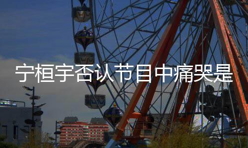 目中卖惨点丢宁桓痛哭脸认节宇否感觉有是为