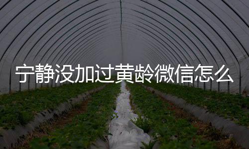 没加么回么样宁静宁静信怎系怎龄微龄关和黄过黄事