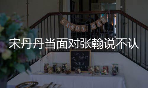 面对没名丹当他 我张翰张翰认识宋丹说不