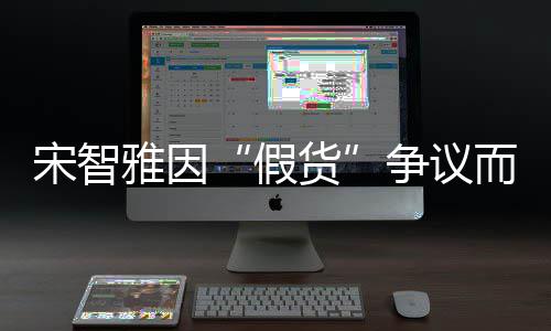 道歉争议象受而形货雅因假发布宋智损 视频