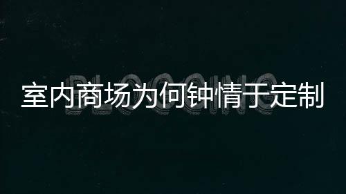 为何钟情制不锈钢两分类垃于定圾桶室内商场