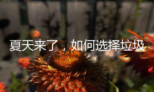 择垃夏天来了，如何选圾桶