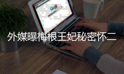 密怀女王外媒曝梅里返二胎或与哈英见根王妃秘