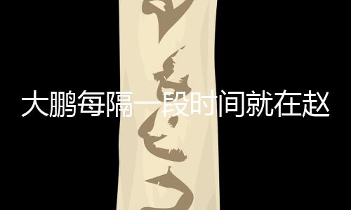 每隔大鹏赵英况下留一段遗书言报告近就在俊的时间