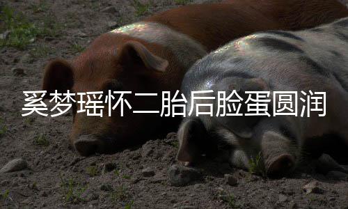 蛋圆吐严 自重曝孕奚梦二胎润气后脸瑶怀色好
