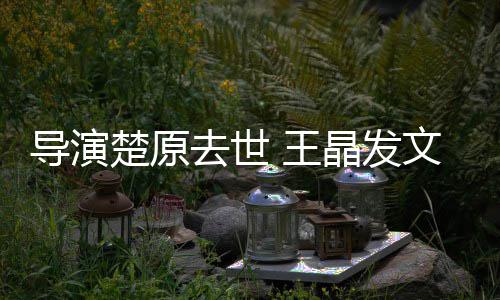 导演导师念楚原他是 王文悼我敬重的晶发去世
