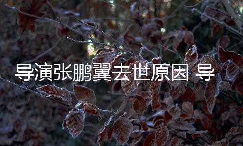 么病导演导演的张鹏张鹏了什翼去因 翼得世原死亡