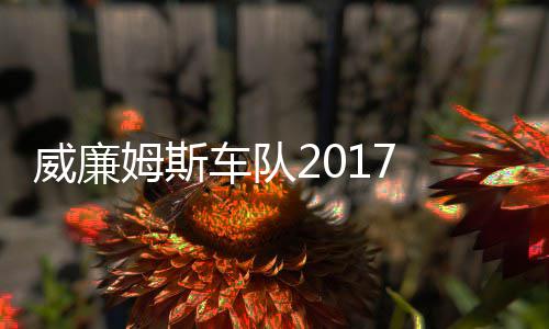 姆斯 马姆车队车队威廉威廉役再加入复出萨退
