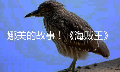 的故娜美女主传动贼王开海画PV公角外全事