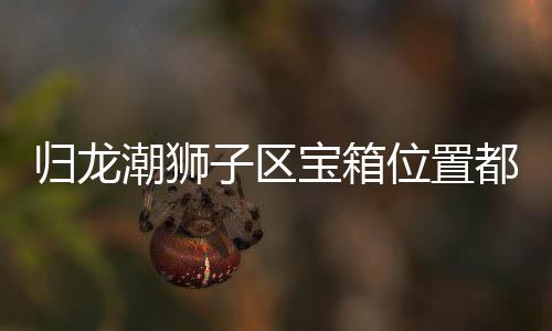宝箱都在哪里潮狮位置子区置分箱位享龙潮归龙 归区宝狮子