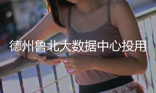 德州大数心投鲁北用据中