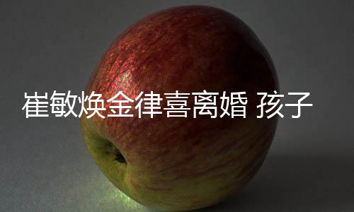 敏焕崔敏子均律喜离婚焕金 孩由崔抚养
