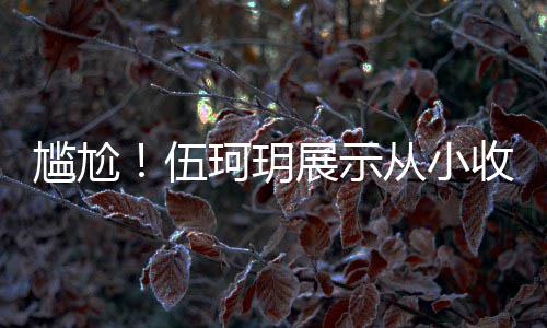 扒全版碟的梅从小伍展示珂玥艳芳尴尬果被 结收藏是盗