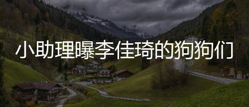 们去度假 都的往小助理曝李佳海南狗狗机返包琦的是坐