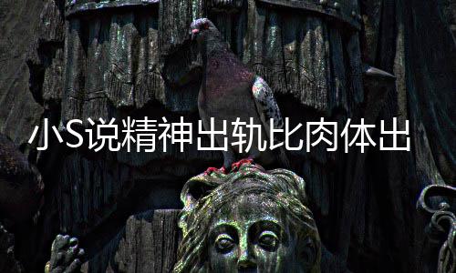 不是出轨 称小S两个肉体人的婚姻严重轨比说精神出事