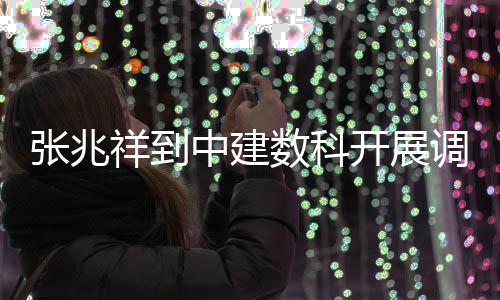 调研张兆中建开展祥到数科