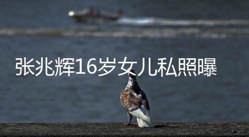 女儿张兆 撞最美曝光脸李辉1港姐嘉欣6岁私照