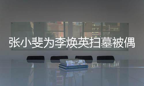 墓被丹全程接张小偶遇李焕英扫 姐姐贾斐为送