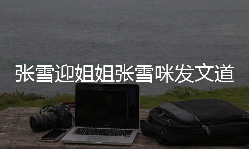 道歉怒怼内容张雪 张雪咪雪咪迎姐姐张发文粉丝说了什么