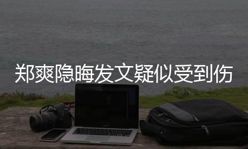 郑爽 评论亮了隐晦疑似发文受到伤害