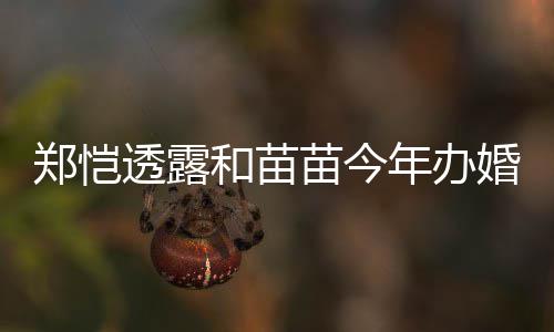 苗今名叫年办 女奶透露郑恺小酸儿小和苗婚礼