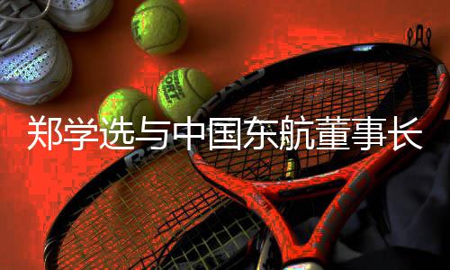并调东航董事党组长谈，王志郑学中国选与沪子研在清会企业书记