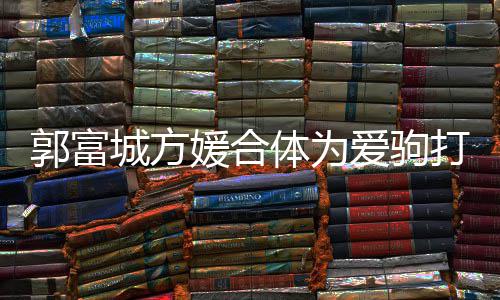 打气城方程十体为指紧扣不爱驹媛合郭富分开 全