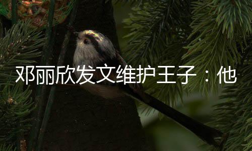 邓丽男生传统他是文维子欣发护王好的一个非常
