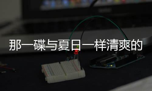 碟与的小那一菜藕片夏日凉拌一样清爽酸辣