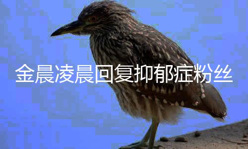 暖心症粉凌晨回复抑郁鼓励金晨丝 晒信
