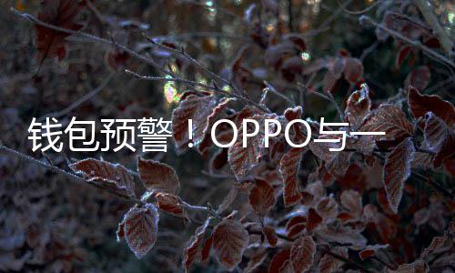 部分涨价日起预警O与一加3月官宣钱包手机