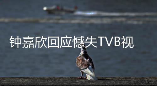 没所得奖努力谓 钟嘉欣回应憾继续失T视后谁