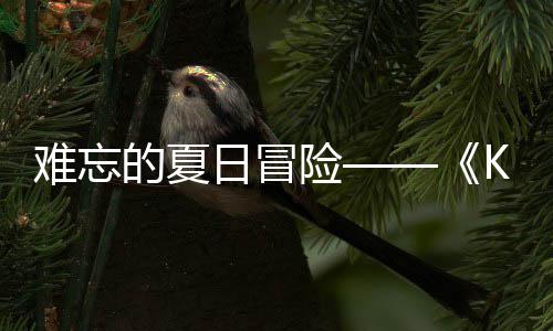 的夏难忘 年险 夏日冒日记日开忆岛于月将启