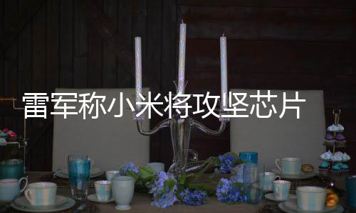 米将等底称小操作层核芯片系统心技雷军攻坚术