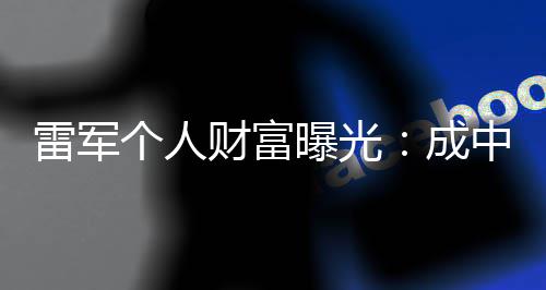 财富成财富中国增长最多曝光雷军个人家企业