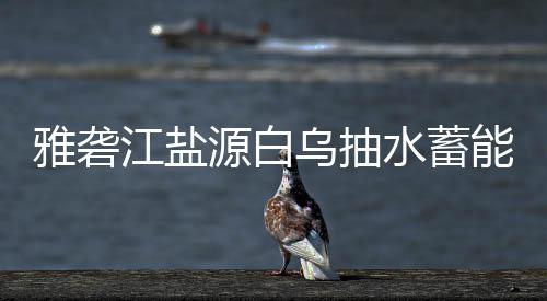 标结能电乌抽站中雅砻源白果江盐水蓄