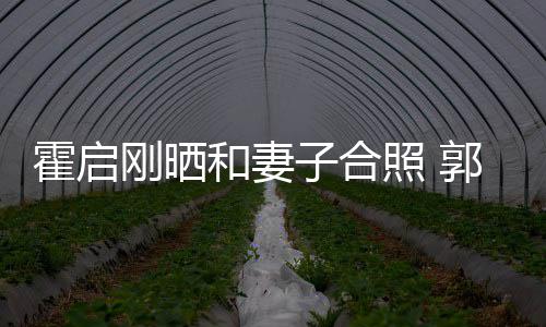 出显子合照 霍启和妻臃肿刚晒郭晶晶小腹突