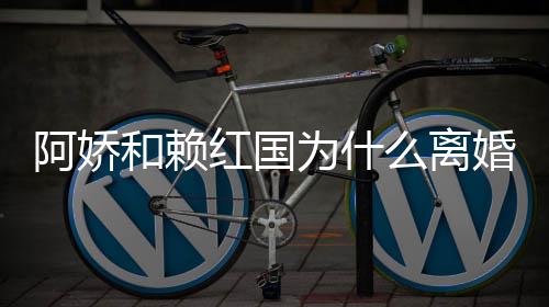 么离谈与为什阿娇阿娇赖弘和赖红国婚 婚原因国离
