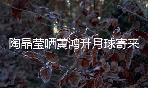 陶晶来的来是黄鸿好莹晒月饼 原已备球寄升月生前
