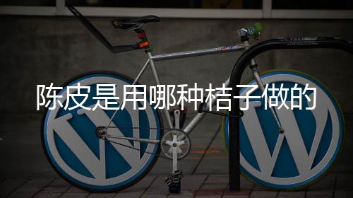 哪种陈皮做的桔子是用