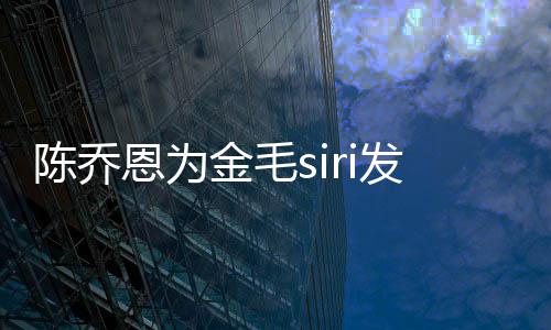 毛s哪家陈乔i托恩为运致金毛 金发声死涉事公司是