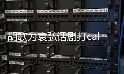 特意同寝为袁胡歌弘话花篮胡歌剧打 送署名