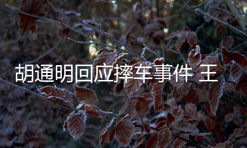 博和明回明发么事车事王一胡通胡通应摔件 情了生什