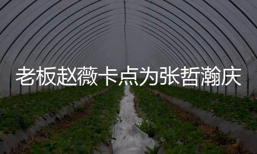 代表电视为张赵薇哲瀚 张哲瀚资料作品卡点老板个人剧庆生
