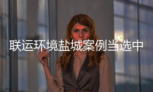 当选度示中环案例协年联运环境盐城一江苏范 省唯