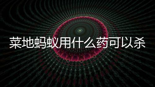 蚂蚁么药菜地可以用什杀死
